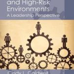 英语电子书|Safety Culture and High-Risk Environments: A Leadership Perspective