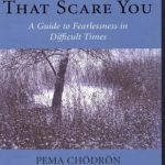 英语电子书|The Places that Scare You: A Guide to Fearlessness in Difficult Times