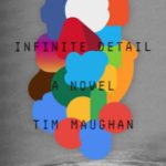 Infinite Detail: A Novel