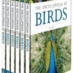 Encyclopedia of Birds