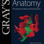 Gray’s Anatomy: The Anatomical Basis of Clinical Practice
