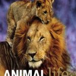 Animal Life: Secrets of the Animal World Revealed