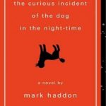 The Curious Incident of the Dog in the Night Time