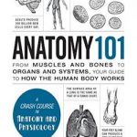 Anatomy 101: From Muscles and Bones to Organs and Systems, Your Guide to How the Human Body Works