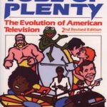 Tube of Plenty: The Evolution of American Television