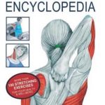 Stretching Exercises Encyclopedia