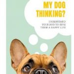 What’s My Dog Thinking?: Understand Your Dog to Give Them a Happy Life