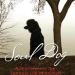 Soul Dog: A Journey into the Spiritual Life of Animals