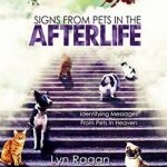 Signs From Pets In The Afterlife