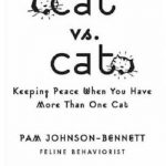 Cat vs. Cat: Keeping Peace When You Have More Than One Cat