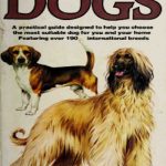 An Illustrated Guide to Dogs: A Practical Guide