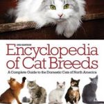 Encyclopedia of Cat Breeds