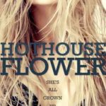 Hothouse Flower