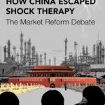 How China Escaped Shock Therapy