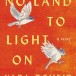 No Land to Light On