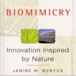 Biomimicry: Innovation Inspired by Nature