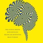Champions of Illusion: The Science Behind Mind-Boggling Images and Mystifying Brain Puzzles