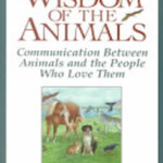 Wisdom Of The Animals: Communication Between Animals and the People Who Love Them