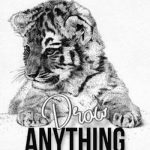 Draw Anything With Ease