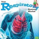 Your Respiratory System Works